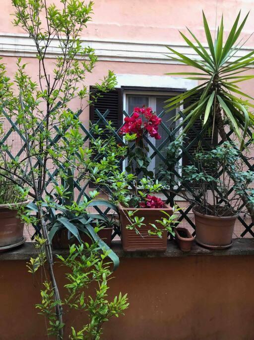 Centro Storico Appartamento Con Terrazza 罗马 外观 照片